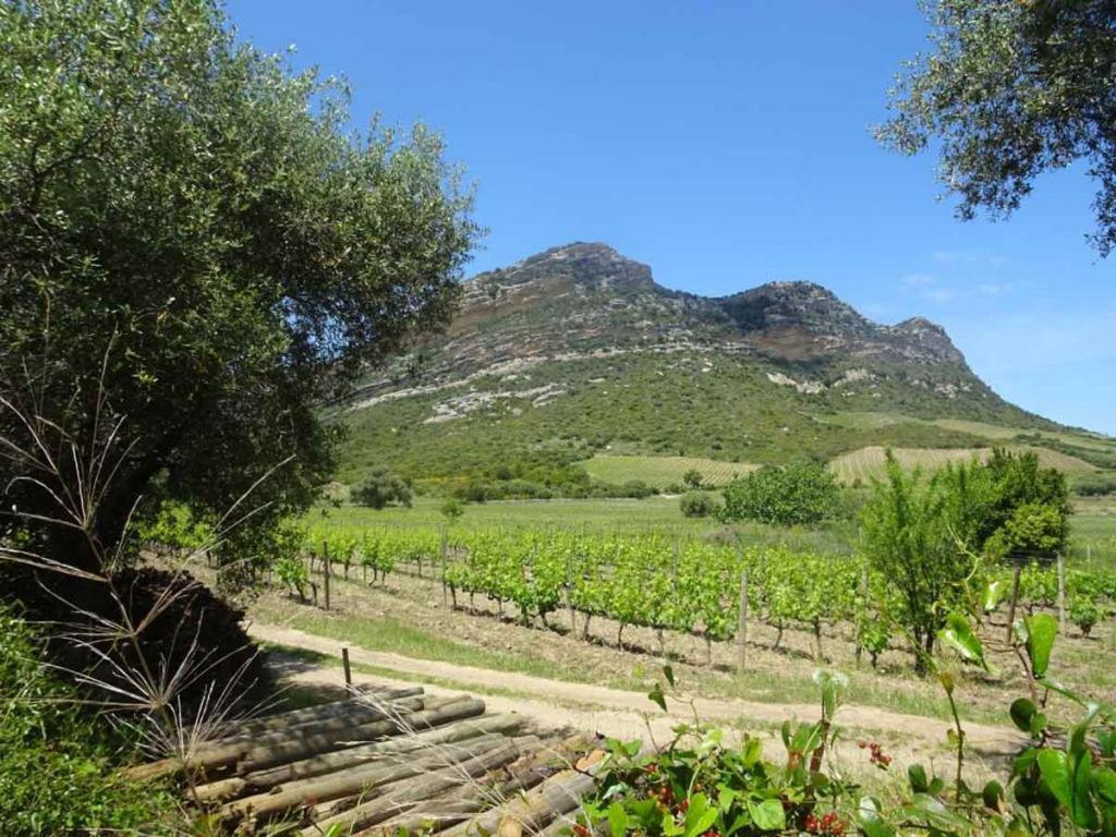 Jardin Et 2 Chambres Centre St Florent Saint-Florent  Eksteriør billede